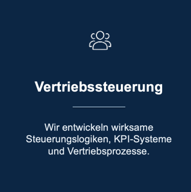 Text auf blauem Hintergrund: "Vertriebssteuerung" mit Erklärungen zu Steuerungslogiken und KPI-Systemen.